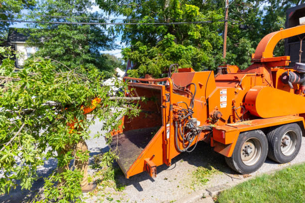 Marbury, AL Tree Service Company